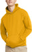 Men'S Ecosmart Hoodie, Midweight Fleece Sweatshirt, Pullover Hooded Sweatshirt for Men